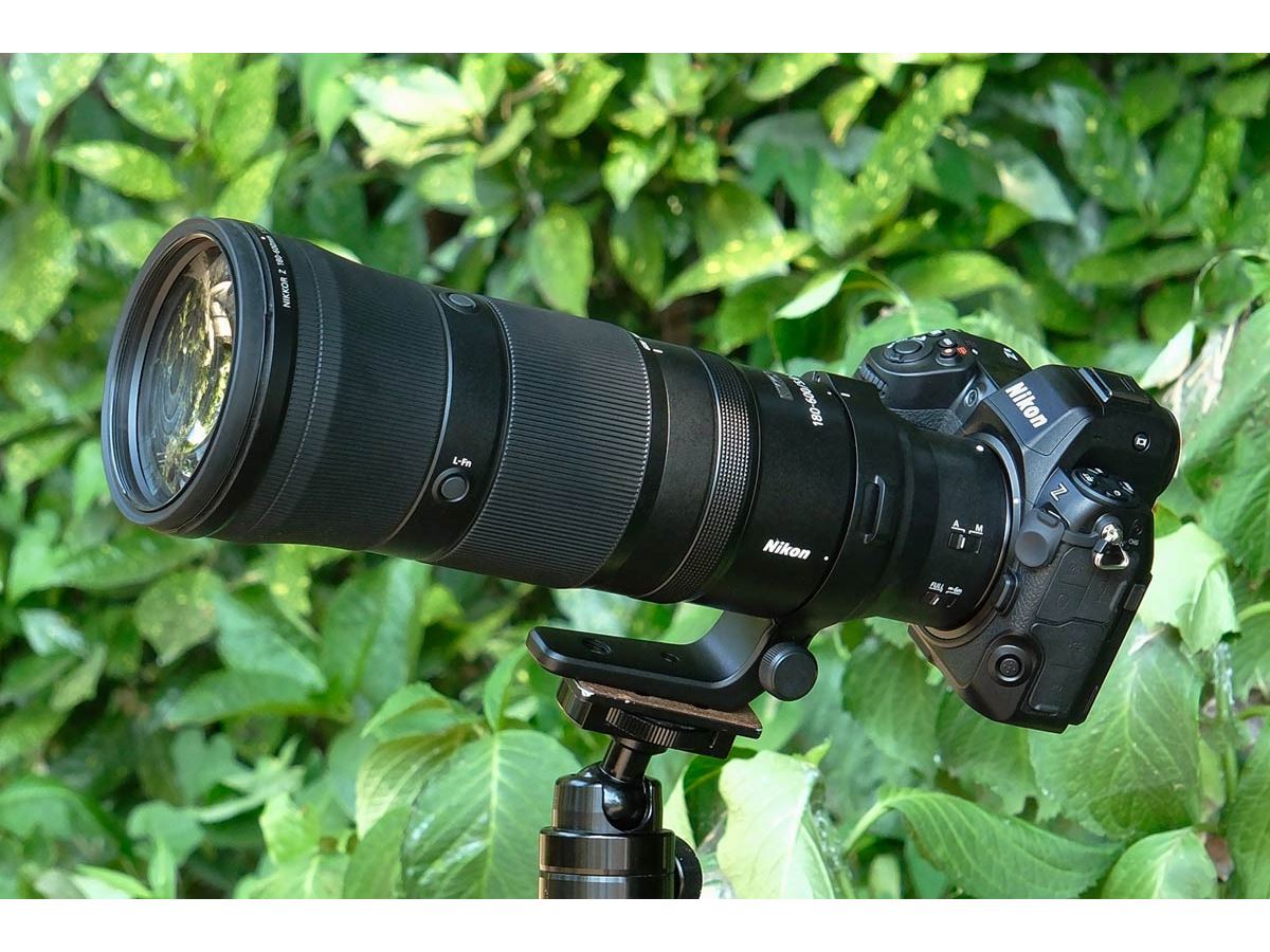 待望の“手が届く”超望遠ズーム「NIKKOR Z 180-600mm f/5.6-6.3 VR」レビュー - 価格.comマガジン