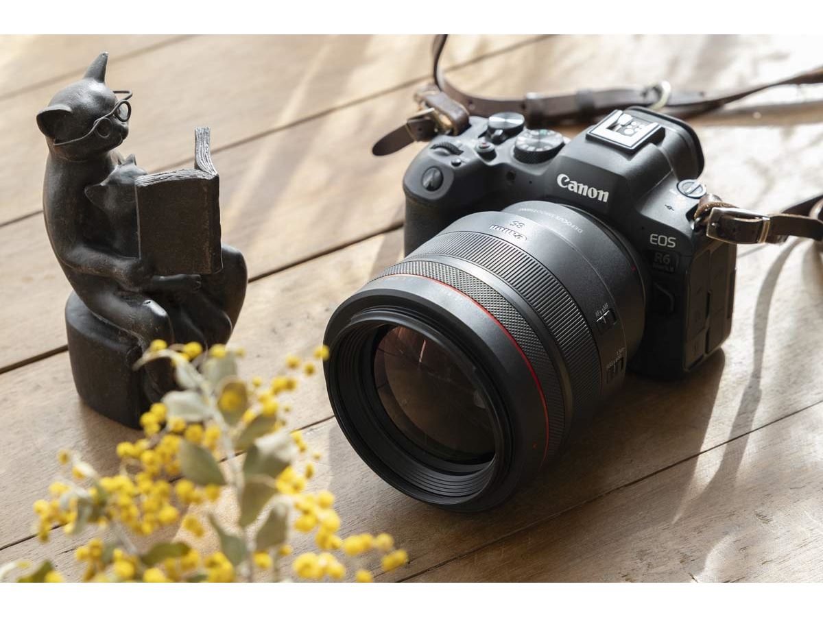 私のリアル相棒カメラ「EOS R6 Mark II」といつもと違う“目”のお話 - 価格.comマガジン