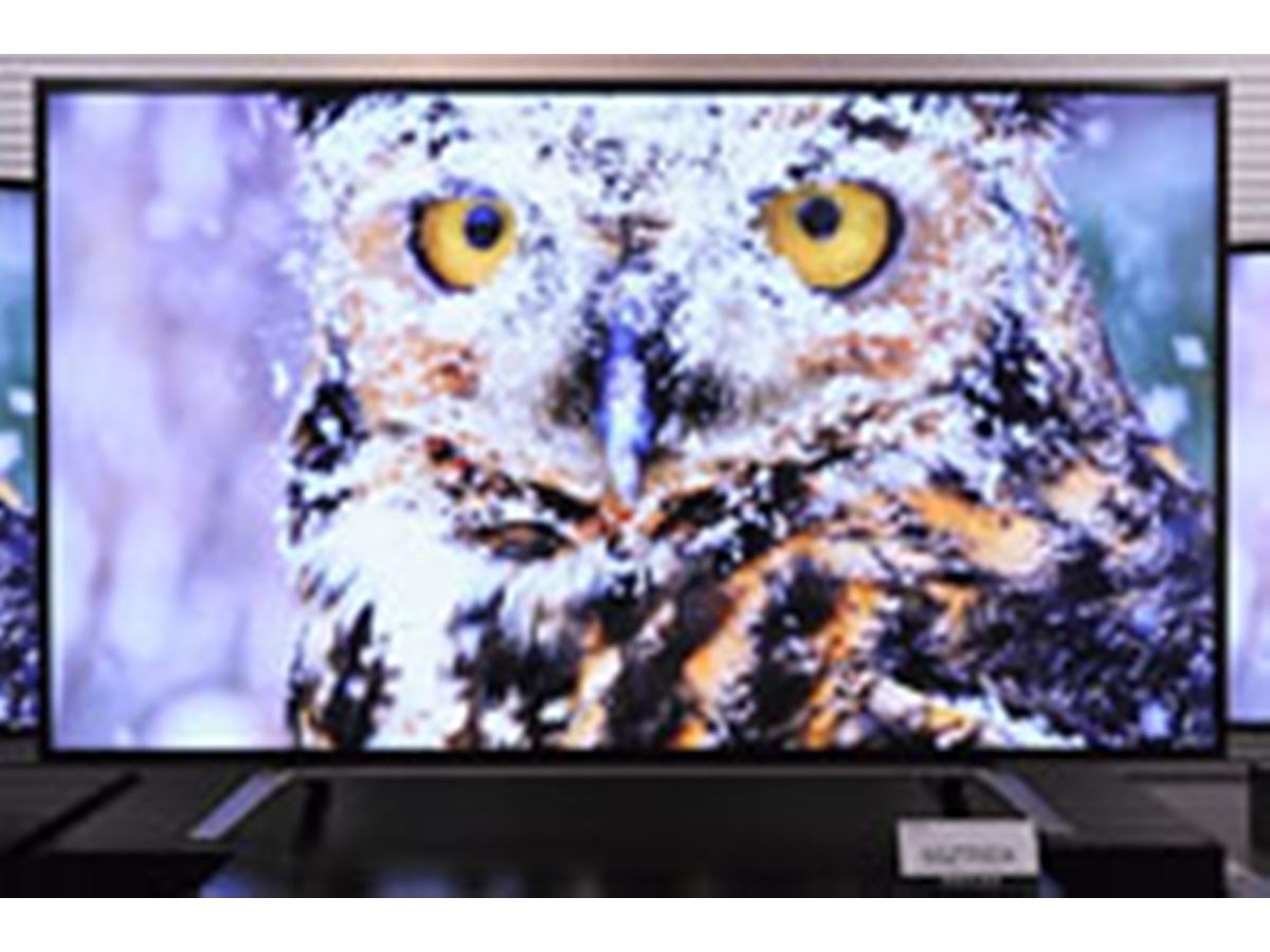 東芝のREGZAにかける本気度を見よ！ IPSパネル採用の4Kテレビ