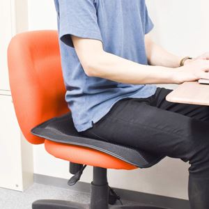 腰痛対策クッション 3製品を使い比べ 安いものから3万円の高級品まで 価格 Comマガジン