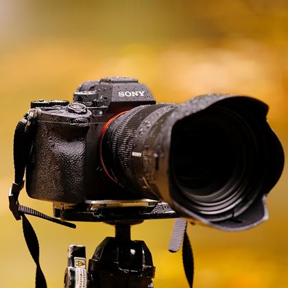 最強のハイエンドミラーレス「α7R II」に弱点はあるか? - 価格.com ...