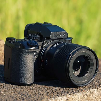ニコン「D810」の画質を従来モデル「D800/D800E」と比較してみた ニコン「D810」の画質を従来モデル「D800/D800E」と比較してみた