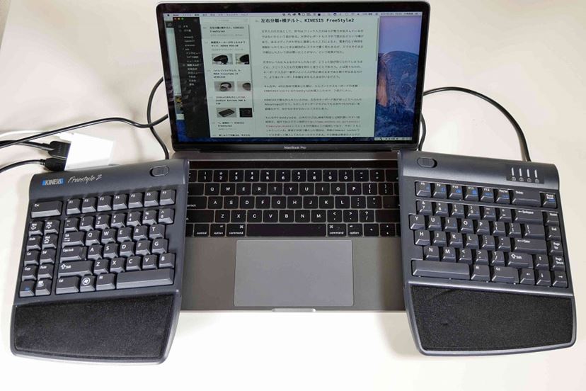 左右分離＋横チルト、KINESIS FreeStyle2 - 価格.comマガジン