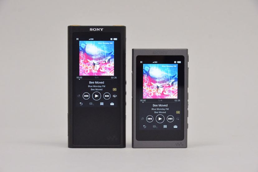 WALKMAN ZX300