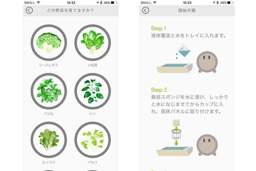 家庭菜園の新時代。IoT水耕栽培機「foop Lite」でレタスを作って 家庭菜園の新時代。IoT水耕栽培機「foop Lite」でレタスを作って