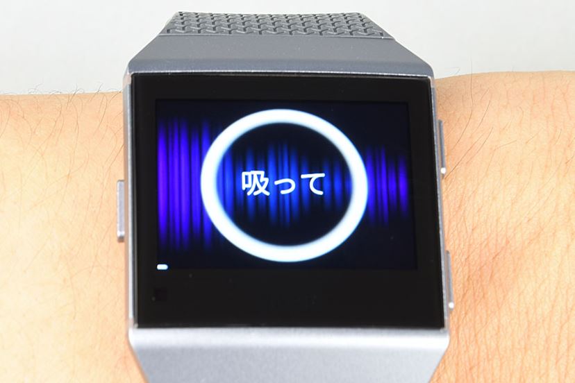 FB503WTGY-CJK Fitbit スマートウォッチ iONIC 1個 Fitbit