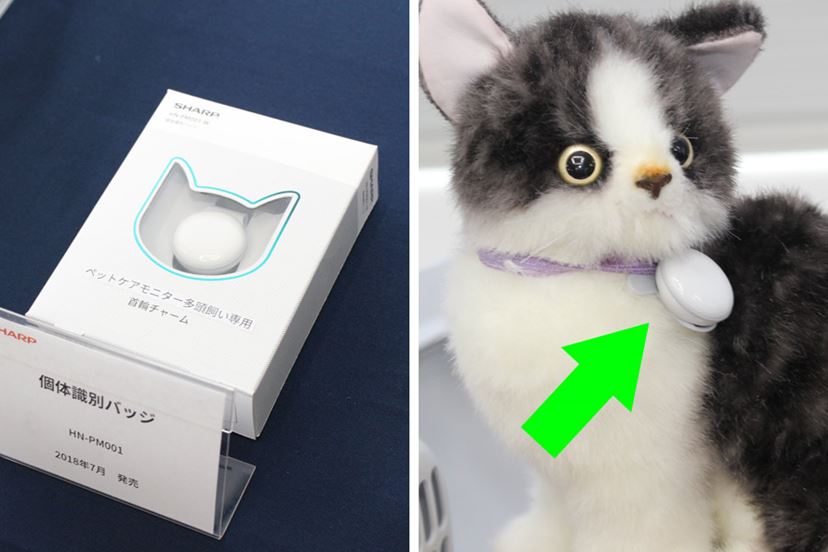 猫のトイレもクラウド連携！ シャープがペット向けAIoT用品を開発 - 価格.comマガジン