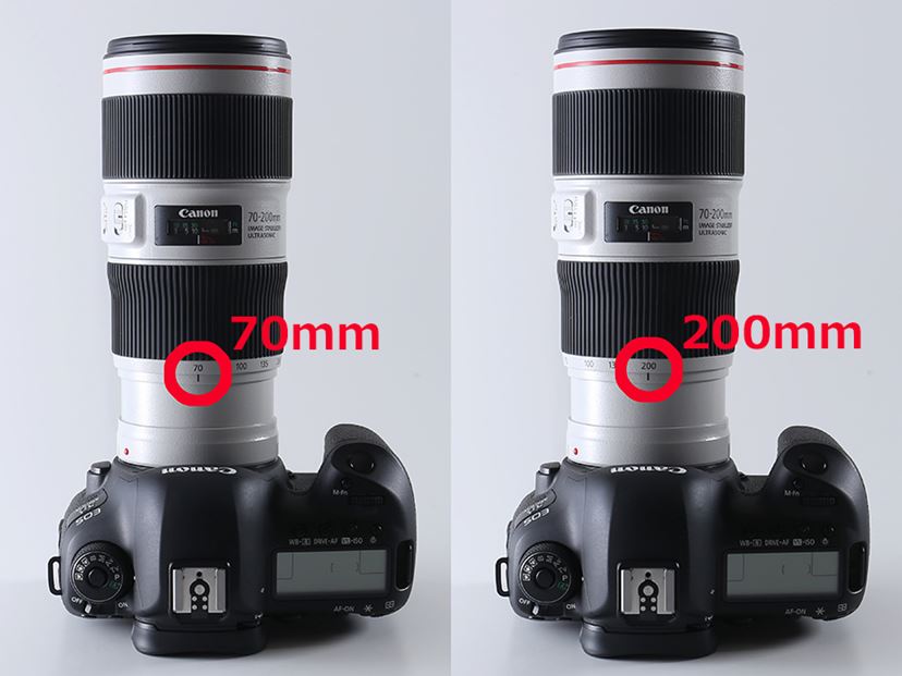 人気の望遠Lズーム“12年”の進化を検証！ キヤノン「EF70-200mm F4L IS II USM」レビュー - 価格.comマガジン