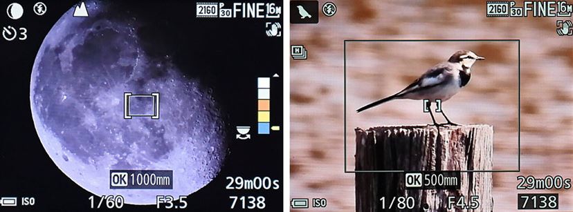 3000mm相当の超望遠撮影を実現！ ニコン「COOLPIX P1000」実写レビュー