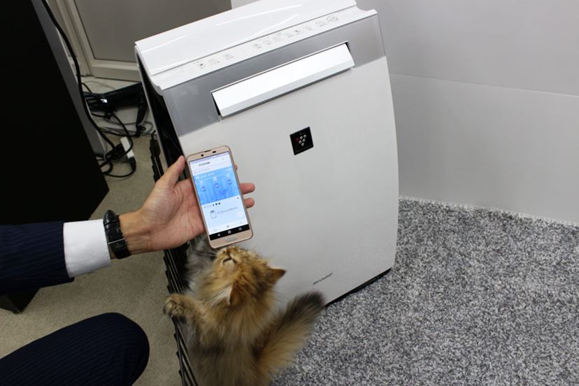 犬や猫を飼っている人に最適！ 「ペット専用運転」を搭載した