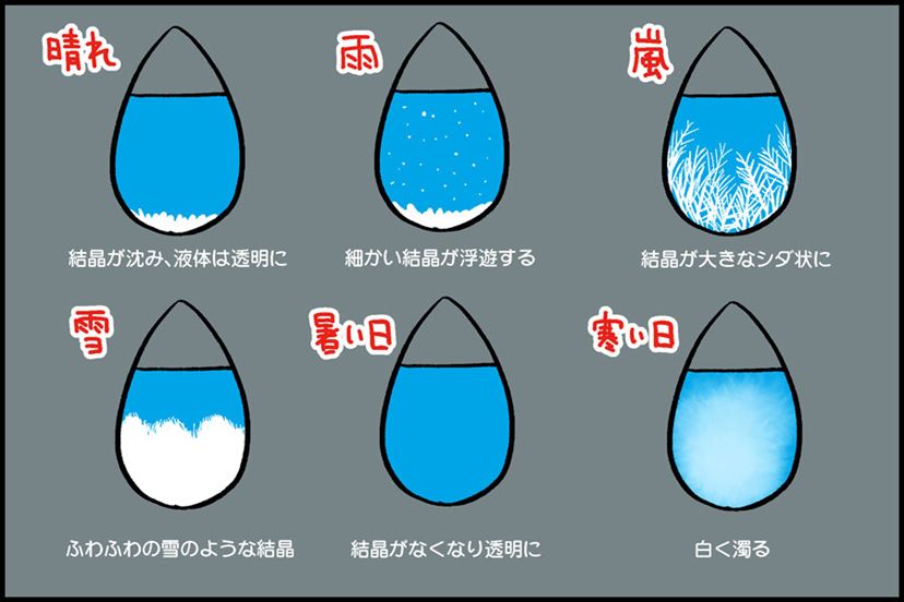 天気予想グッズ って本当に当たるのか 10日間徹底検証してみた 価格 Comマガジン