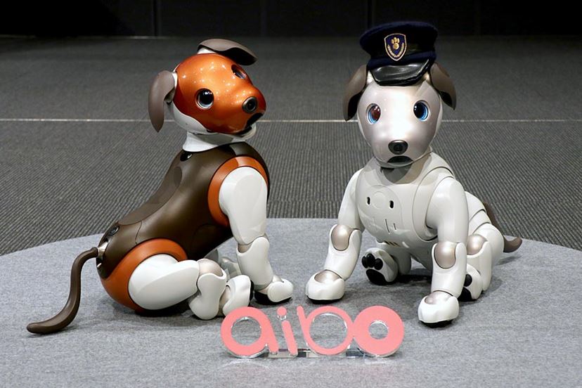 aibo」が番犬に！？ 新サービス「aiboのおまわりさん」が安心で