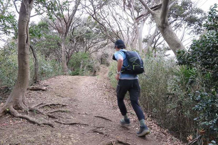 テラノバ　リュック／レーサー10／登山、トレラン、ランニング わずか368g！ 登山からトレランまで幅広く使えるテラノヴァの