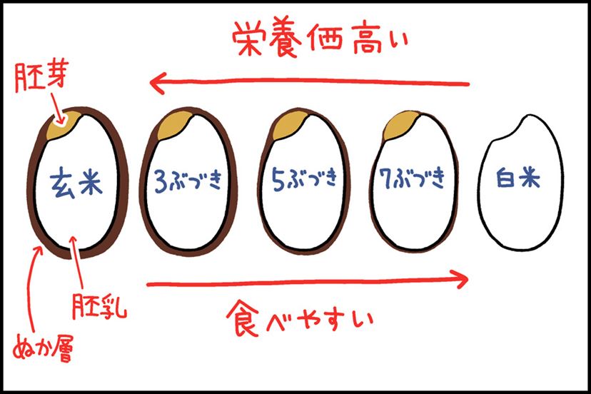 自宅に“精米機”を導入すると自分にピッタリのお米が作れてサイコー！ - 価格.comマガジン