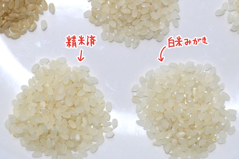 自宅に“精米機”を導入すると自分にピッタリのお米が作れて 自宅に“精米機”を導入すると自分にピッタリのお米が作れて