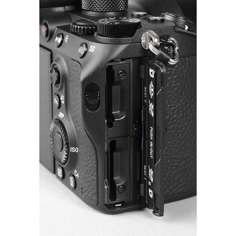 フルサイズミラーレス徹底比較！ 「EOS RP」「EOS R」「α7 III」「Z 6