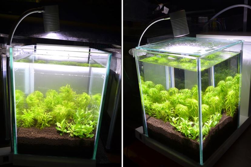 高性能＆グッドルッキングな“小型水槽”でアクアリウムを始めよう♪ 2