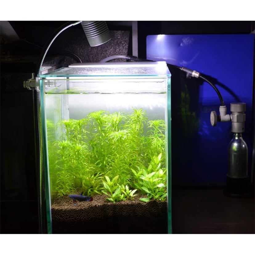 高性能＆グッドルッキングな“小型水槽”でアクアリウムを始めよう♪ 2