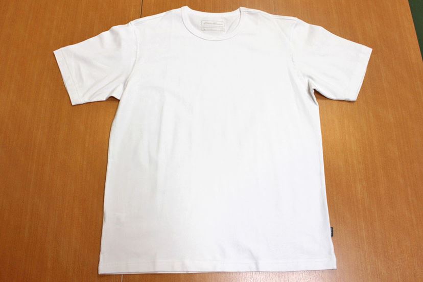 tシャツ 白 オファー 冷蔵庫の明かりで透ける