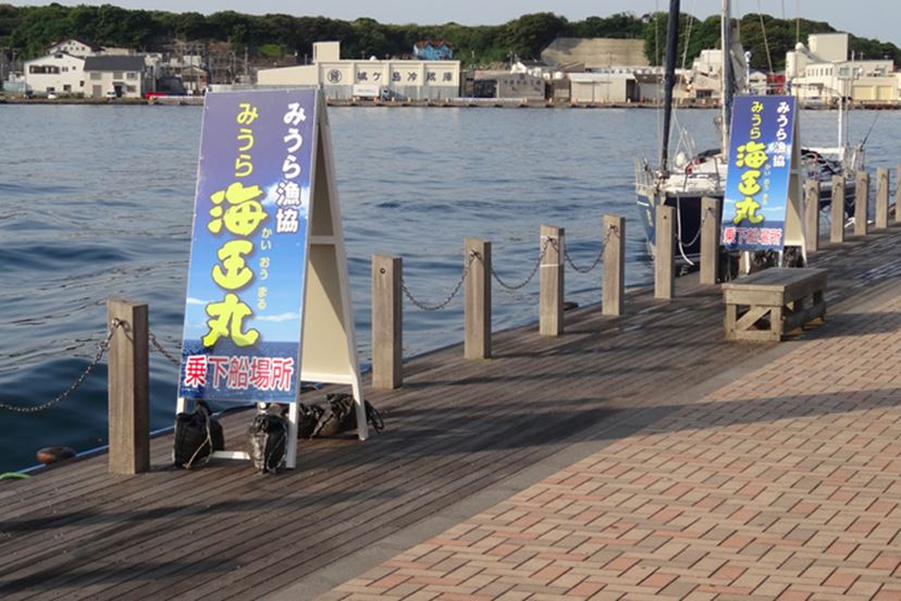 話題の海上釣り堀で「海上釣堀 コアスペックII」の手応えを堪能