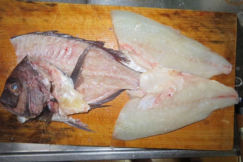 話題の海上釣り堀で「海上釣堀 コアスペックII」の手応えを堪能