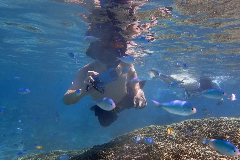 auのタフネススマホ「TORQUE G04」で海の中を撮影した！ - 価格.com