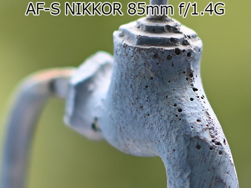 Zマウント初の中望遠レンズ「NIKKOR Z 85mm f/1.8 S」をスナップ撮影で