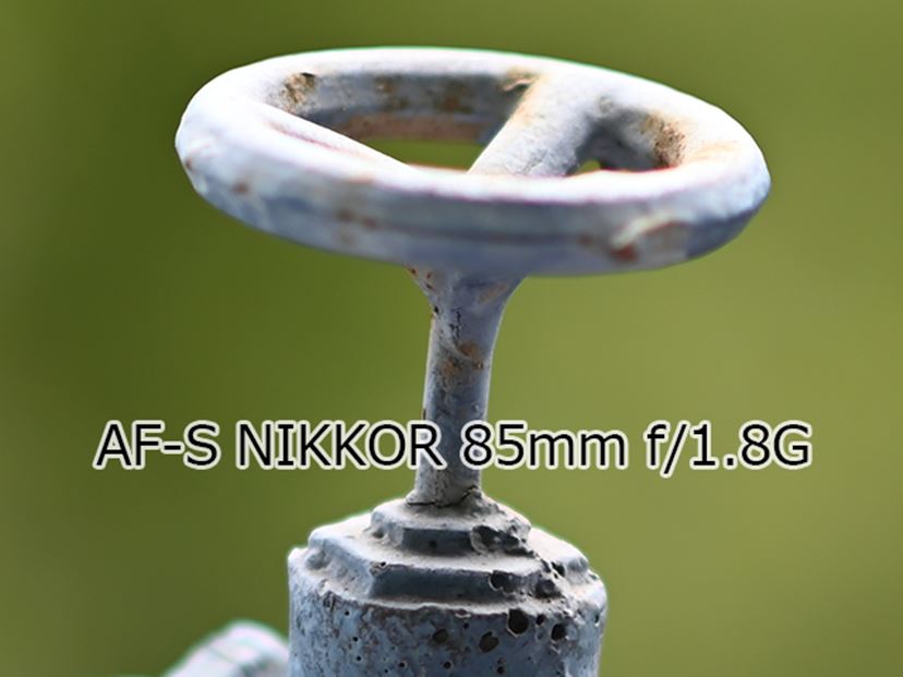 Zマウント初の中望遠レンズ「NIKKOR Z 85mm f/1.8 S」をスナップ Zマウント初の中望遠レンズ「NIKKOR Z 85mm f/1.8 S」をスナップ
