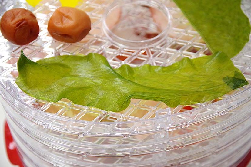 ☆5層フードドライヤー 高性能 お家で手軽に健康スナック作り 5層