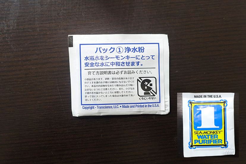 懐かしの「シーモンキー」飼育キットが復活！ 謎の生物を育ててみた