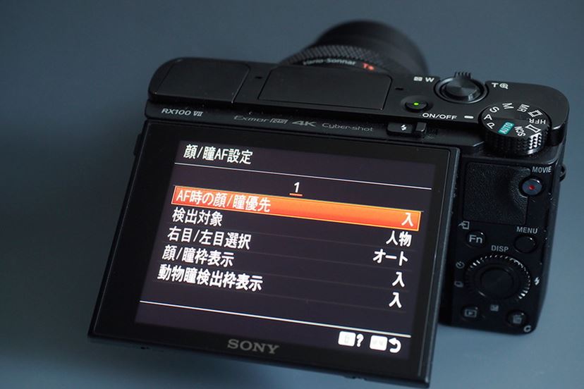 写真を撮るのが楽しい。「RX100VII」で等々力渓谷の木漏れ日を 写真を撮るのが楽しい。「RX100VII」で等々力渓谷の木漏れ日を