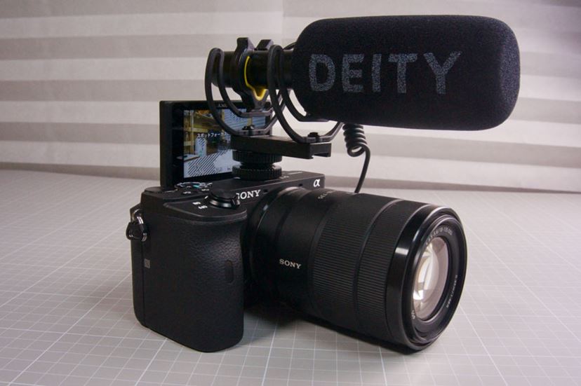 マスモ様専用】SONY α6600 カメラ本体