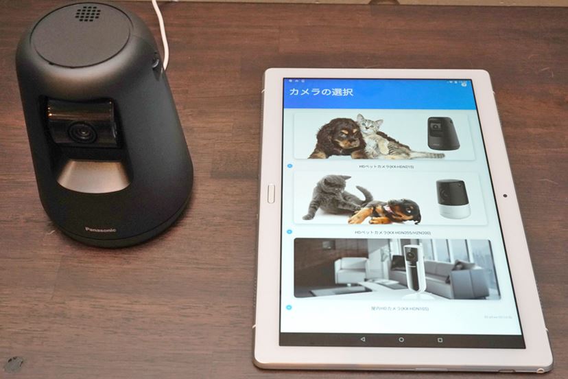 パナソニックのHDペットカメラ最新モデルを自宅のペット達と一緒に
