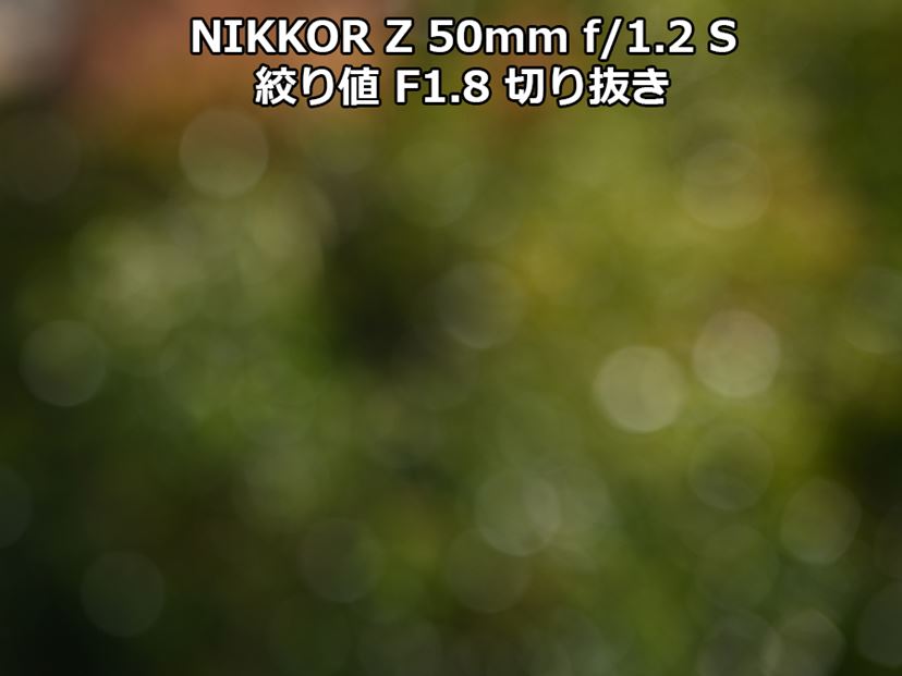 開放F1.2の写りに感動! ニコンの大口径・標準レンズ「NIKKOR Z 開放F1.2の写りに感動! ニコンの大口径・標準レンズ「NIKKOR Z