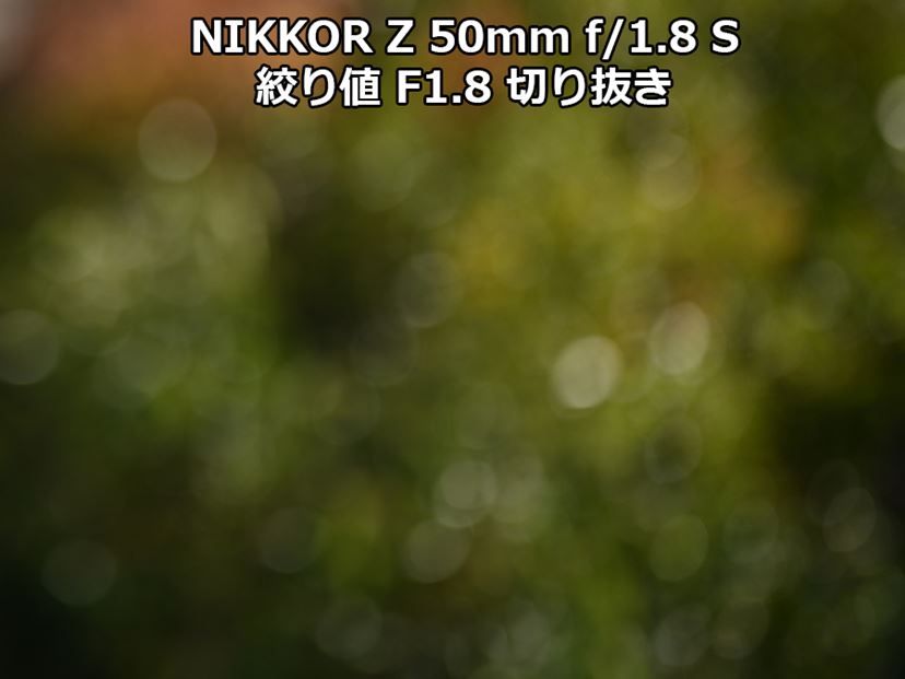 開放F1.2の写りに感動！ ニコンの大口径・標準レンズ「NIKKOR Z 50mm f 
