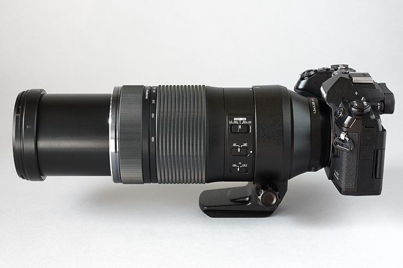 はじめての野鳥・動物撮影にピッタリ！「M.ZUIKO DIGITAL ED 100-400mm F5.0-6.3 IS」レビュー -  価格.comマガジン