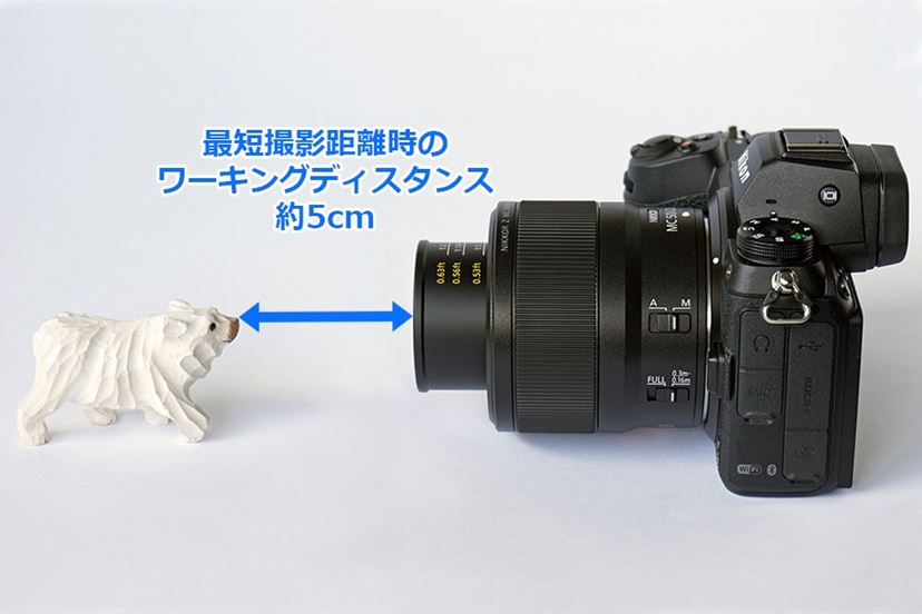 期待以上の写り！ ニコンの標準マイクロレンズ「NIKKOR Z MC 50mm f/2.8」レビュー - 価格.comマガジン