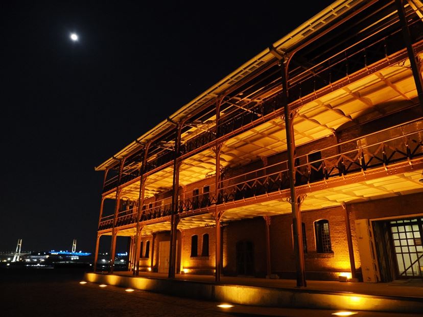 ショット数639 ほぼ新品OM-1ボディ　純正チャージャー他付いてます アクセサリー｜OM-1 Mark II｜OM｜OM-D｜デジタル一眼カメラ｜製品