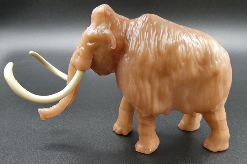 希少　氷河期マンモス標本標本 氷河期展: みかわん控え室