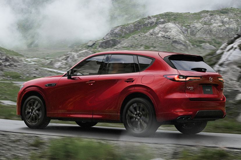 大人気新品！15p GLOBAL CRUISE 20250423090017_939_.jpg