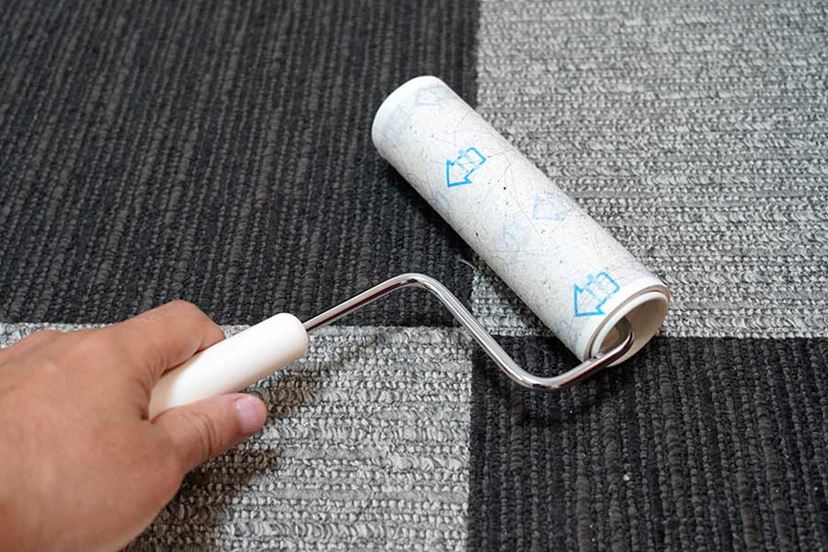 シート不要！ ほぼ無限に使える「ゲルタイプ」の粘着ローラーの