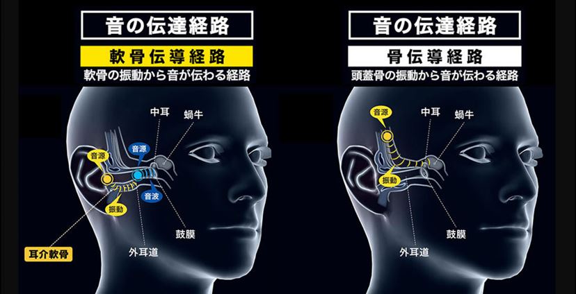 骨 伝導 イヤホン 当てる 人気 場所