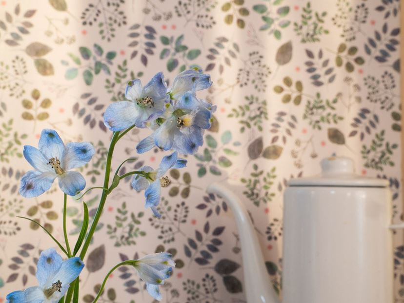 安価なレンズで手軽にボケを楽しむノウハウ、教えます！【ズームレンズ