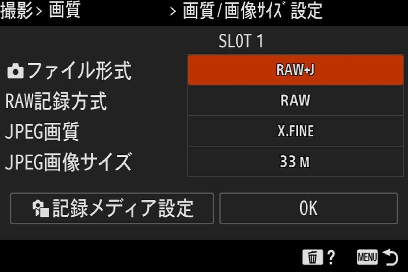 ストア カメラ 内 raw 現像 sony