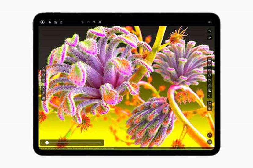 2025年》iPadおすすめモデル！ Air、Pro、無印のどれを選べば