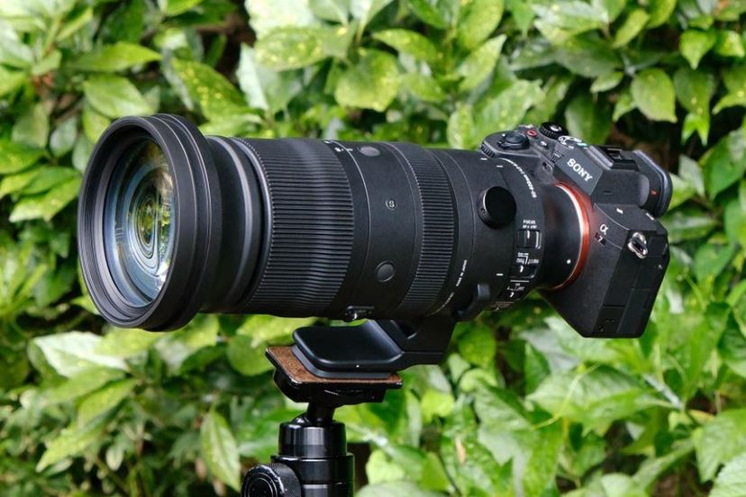 光学10倍の高倍率超望遠ズーム！ シグマ「60-600mm F4.5-6.3 DG DN OS」レビュー - 価格.comマガジン