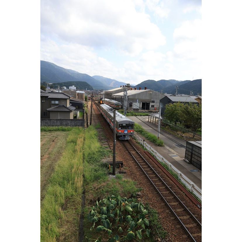 春の街撮りに❣️ EF 24mm F2.8 広角単焦点レンズ 自然な遠近感が最高
