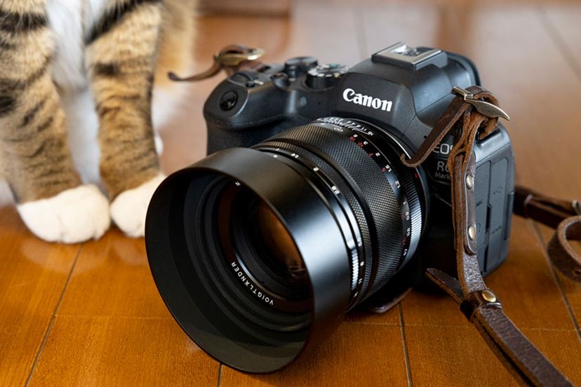 私のリアル相棒カメラ「EOS R6 Mark II」と新しい“目”との日々 - 価格