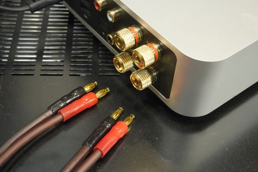 Wiim Amp Pro ストリーミングアンプ ストリーマー WiiMのネットワークストリーマー/プリメインアンプ「WiiM Amp