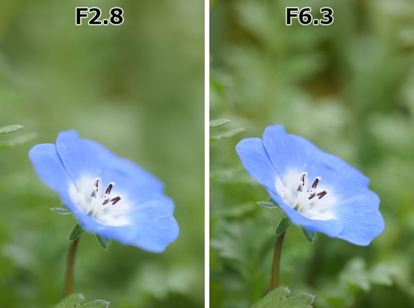 世界最小・最軽量「LUMIX S 100mm F2.8 MACRO」は多彩に使える 世界最小・最軽量「LUMIX S 100mm F2.8 MACRO」は多彩に使える